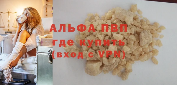 прущие грибы Вязьма