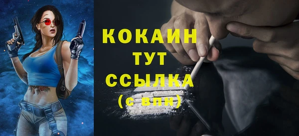 прущие грибы Вязьма