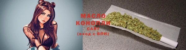 прущие грибы Вязьма