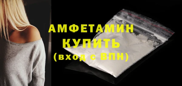 прущие грибы Вязьма