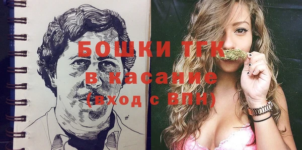 прущие грибы Вязьма