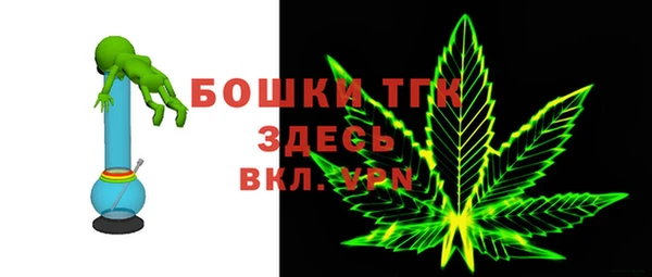 прущие грибы Вязьма