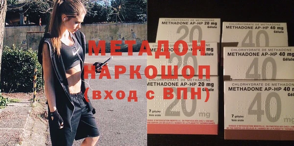 прущие грибы Вязьма