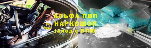 прущие грибы Вязьма