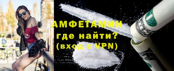прущие грибы Вязьма
