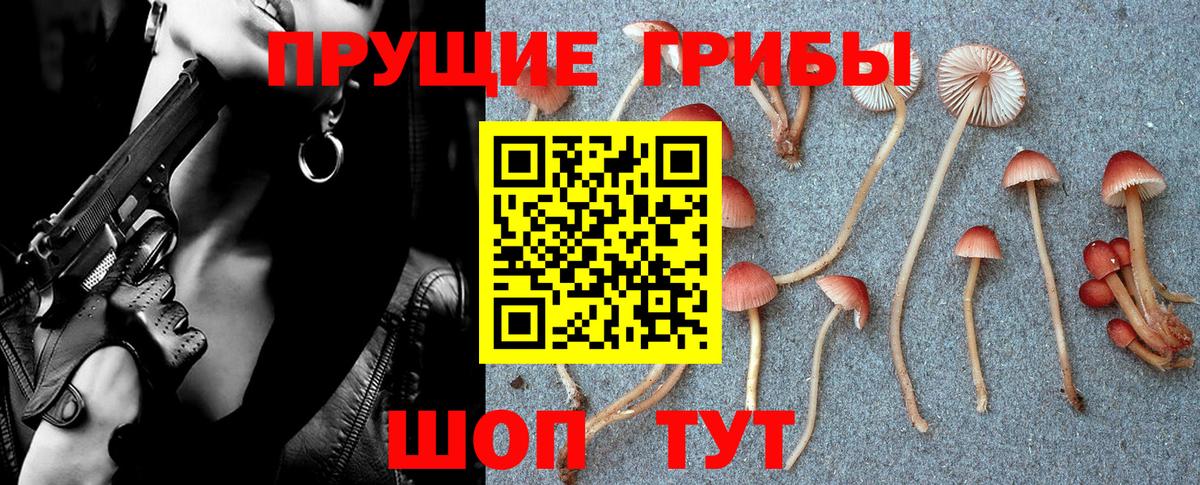 Галлюциногенные грибы прущие грибы  Псилоцибиновые грибы мухоморы  Вход с VPN  Электросталь 