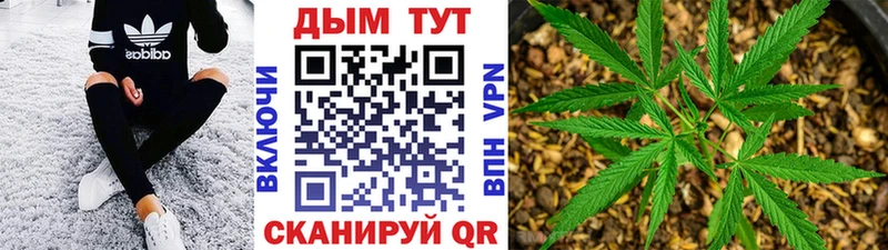 МАРИХУАНА семена  darknet состав  Электросталь 